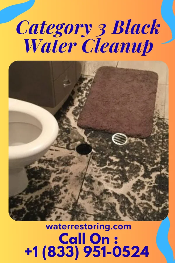 Category 3 Black Water Cleanup in Jasper, TN