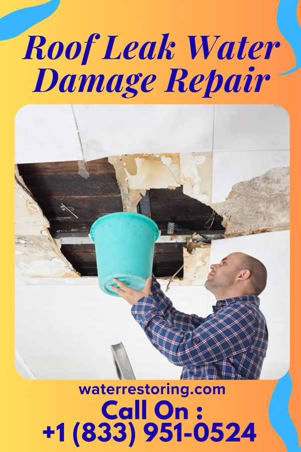 Roof Leak Water Damage Repair in Jasper, TN