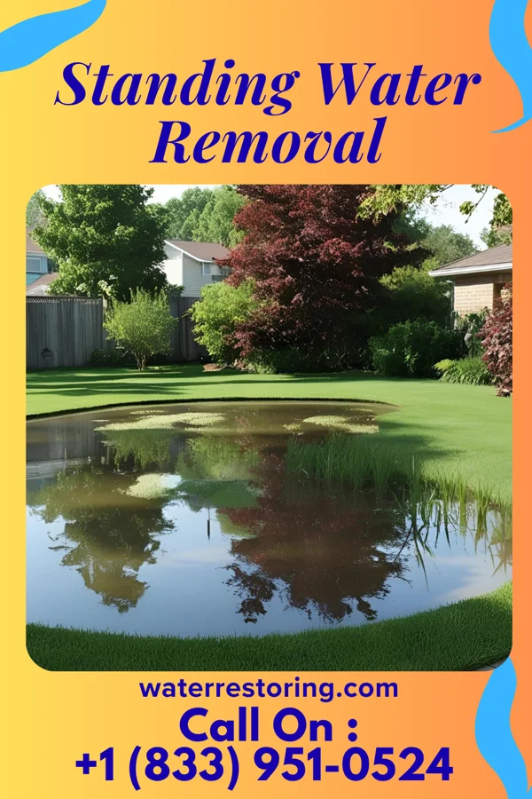 Standing Water Removal in Jasper, TN